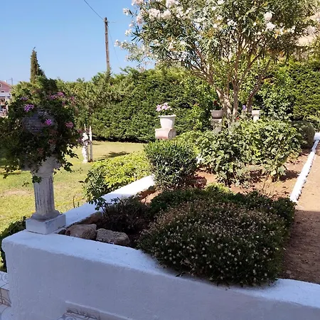 Oasis * أرغوستولي